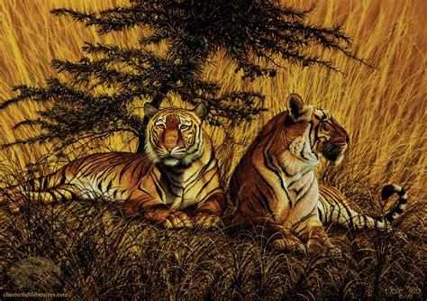 "Tiger Terrain" | Wildlife Art Bengal Tiger Painting