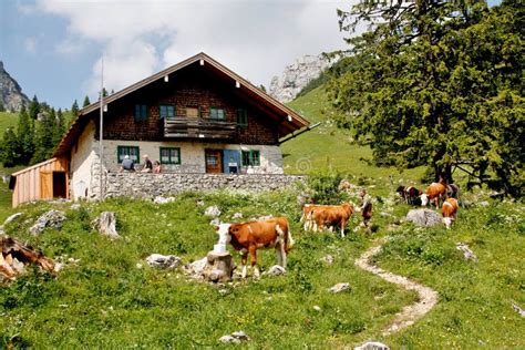 Alpine Hut in the Mountains Editorial Image - Image of farmhouse, house: 113300845