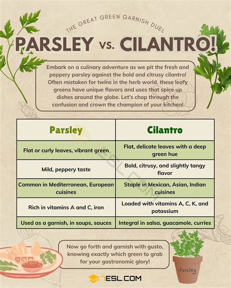 Parsley vs. Cilantro: What's the Difference? • 7ESL