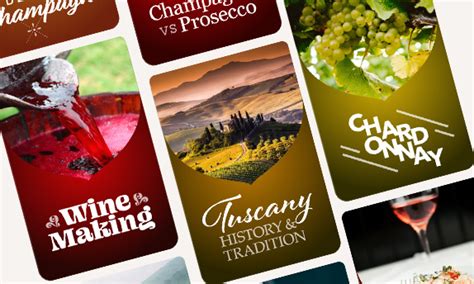 Explore The Fascinating World Of Wine With Vivino's Wine Adventures