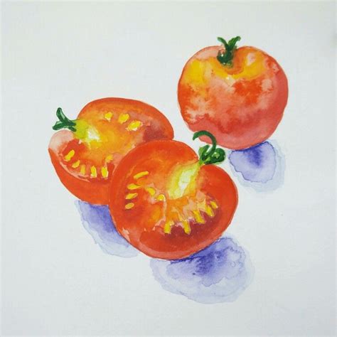 Tomato drawing, watercolor | Tomato drawing, Drawings, Watercolor