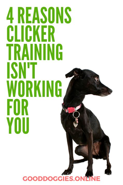 4 Reasons Why Dog Clicker Training isn't Working for You - Good Doggies Online | Dog clicker ...