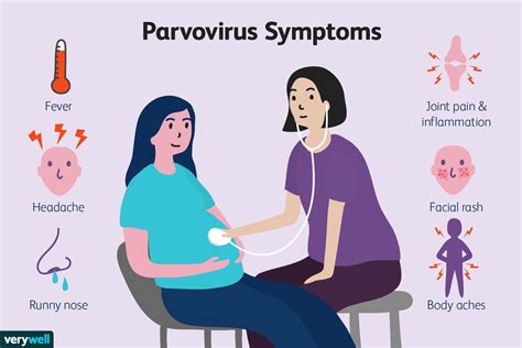 Parvovirus: Symptoms, Causes, Treatment