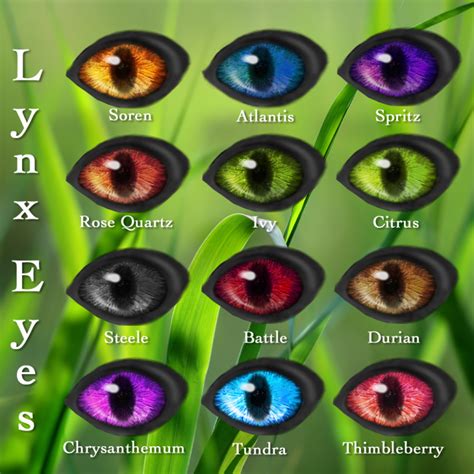 Lynx Eyes – WK – Wild Kajaera