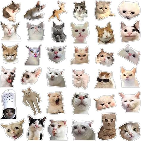 Amazon.com: 36 Funny Cat Stickers Pack, Hilarious Cat Meme Decals Set, Waterproof Graphic Cat ...