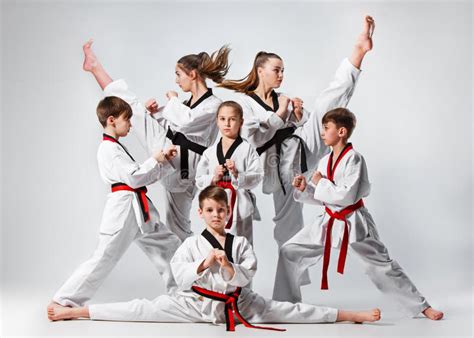 The Studio Shot of Group of Kids Training Karate Martial Arts Stock ...