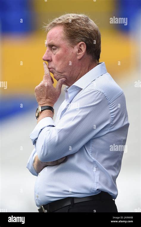 Birmingham City manager Harry Redknapp during the pre-season match at ...