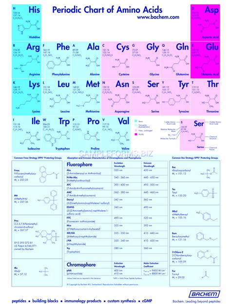 Preview PDF Periodic Chart Of Amino Acids 2214 | The Best Porn Website