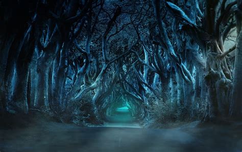 1080P free download | Haunted Woods, haunted, nature, halloween, woods, HD wallpaper | Peakpx