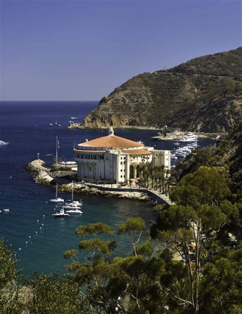 Catalina Island Facts | Location & Wildlife | Visit Catalina Island