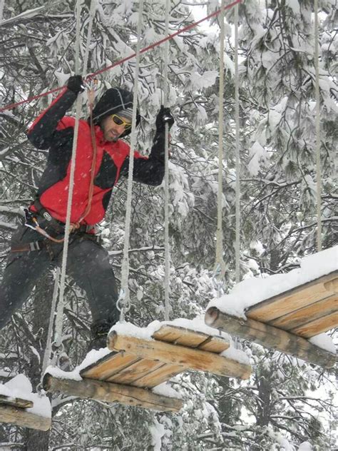 The best experience in Flagstaff, Az. Flagstaff Extreme treetop obstacle course. | Flagstaff ...