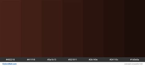 Brown Shades Color Palette | HEX Colors #482218, #411f16, #3a1b13