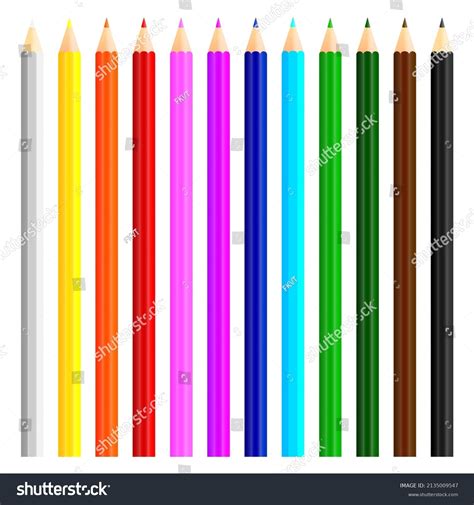 Set Colored Pencil Collection Crayons Vector Stock Vector (Royalty Free ...