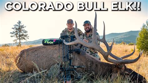 BIG BULL With A Bow!! | Colorado Elk Hunting! - YouTube