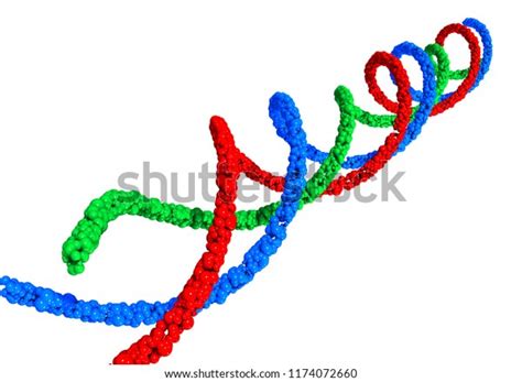 3d Illustration Triple Helix Dna 스톡 일러스트 1174072660