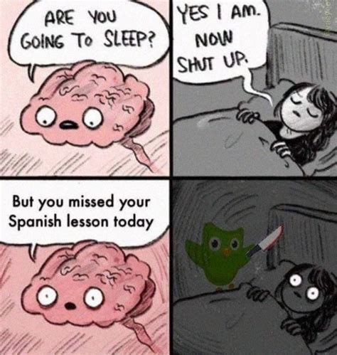 31 Funny Duolingo Memes Are Also Scary