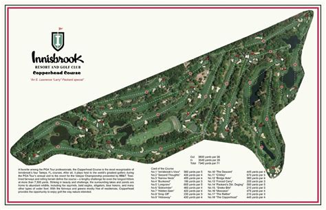 Innisbrook/ Copperhead Golf Course | Etsy