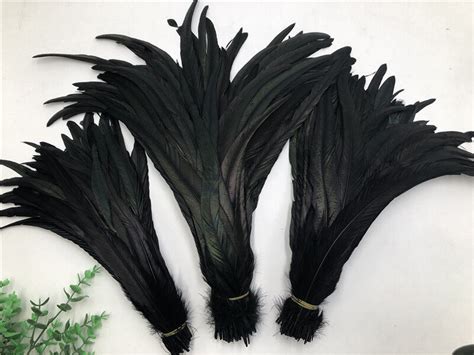 Wholesale! 10/50/100/500pcs Black rooster tail feathers 10-18 inches/25-45cm | eBay