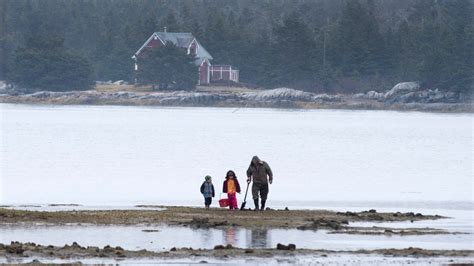 Environment Canada calls for 'warmer than normal' spring for most of Canada | CTV News