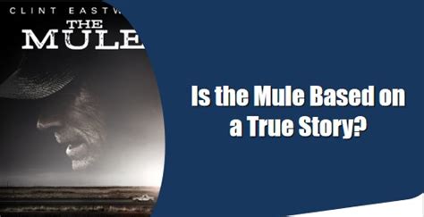 Is the Mule Based on a True Story? – StoryLilos