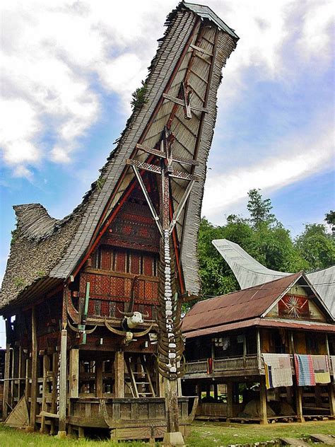 Sulawesi - Tana Toraja - Tongkonan, Ceremonial Rice Barn with Buffalo ...