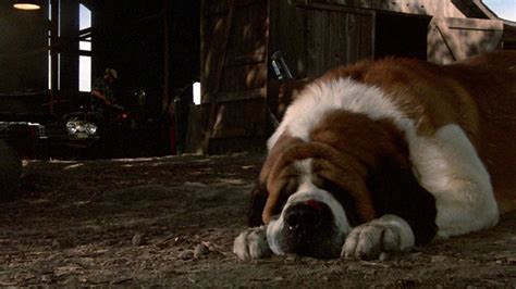 Cujo (1983) – Movie Reviews Simbasible