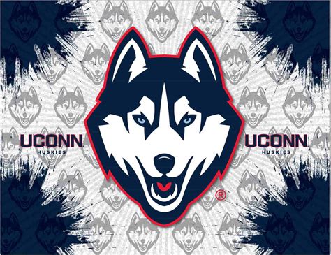 UConn Huskies 24" x 32" Printed Canvas Art - Walmart.com - Walmart.com