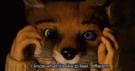 Fantasticmrfox Different GIF - Fantasticmrfox Different Cute - Discover & Share GIFs