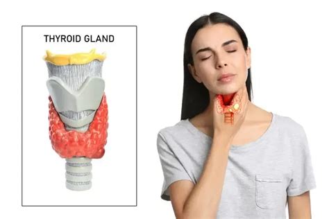 Thyroid Nodules: Causes, Symptoms & Treatment | Wockhardt Hospitals