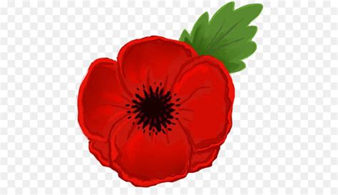 Anzac Day Poppy - Unlimited Download. cleanpng.com. | Anzac poppy, Anzac day, Poppies