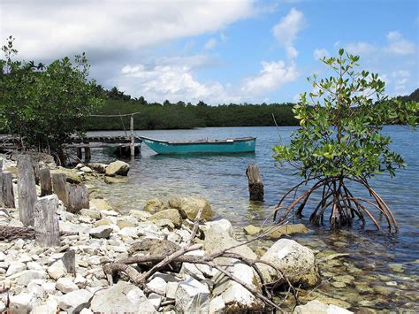 Alejandro de Humboldt National Park: Nature's Refuge in Cuba | LAC Geo