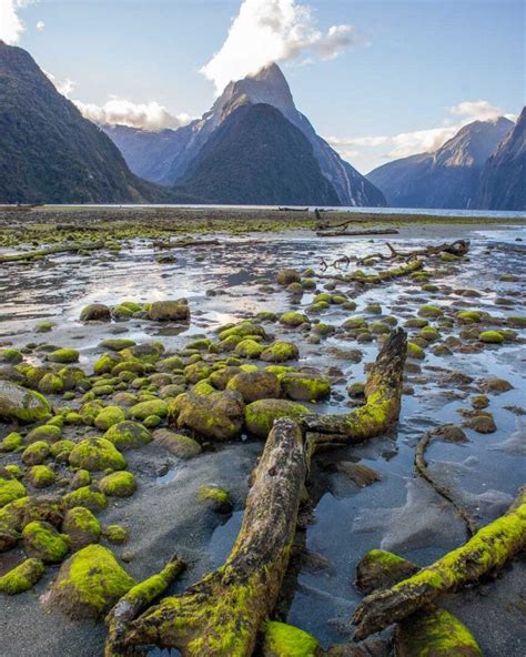 15 Things to KNOW Before Visiting Milford Sound, New Zealand