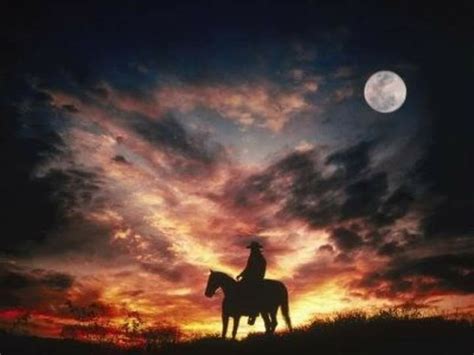 Pin by Karen Levin on Cowboys, Oh Yeah..... | Horse silhouette, Horses ...