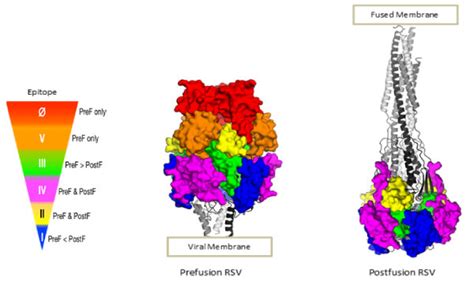 PDA in Print: Quality by Design— An Indispensable Approach to Accelera | PDA