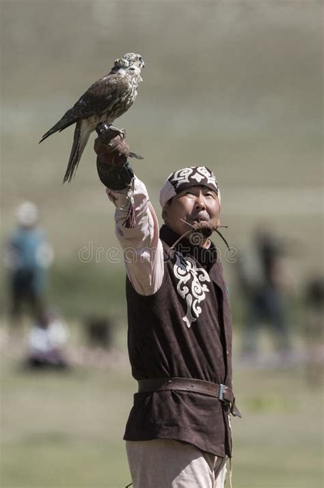 Saker Falcon during a Salburun Hunting Competition Editorial Image - Image of salburun, event ...