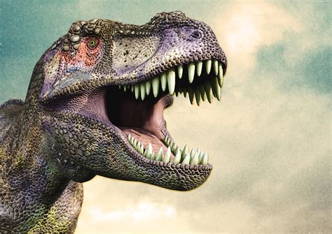 Tyrannosaurus Rex Background