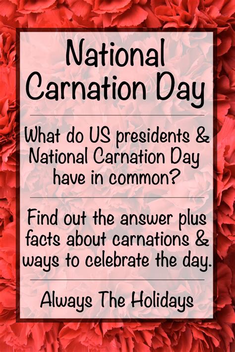 National Carnation Day - Facts About Carnations and History of the Day