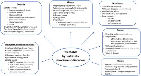 Frontiers | Treatable Hyperkinetic Movement Disorders Not to Be Missed