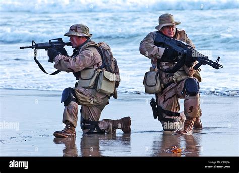 grava Instalar en pc saber entrenamiento de un seal Mount Bank Islas ...