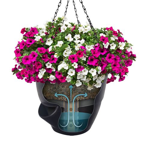 Pro-Series Self Watering Hanging Basket | Self watering planter, Planters, Self watering