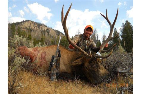 How To Hunt Elk This Year On A Budget - Petersen's Hunting