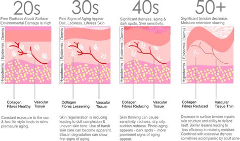 skin-aging-process