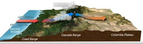 Rain Shadow Diagram Diagram | Quizlet