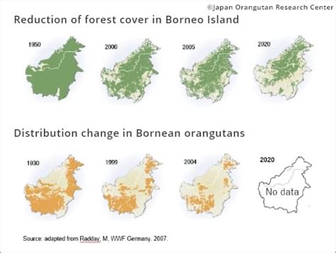 Orangutan Habitat Map