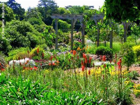 Ventnor Botanic Garden