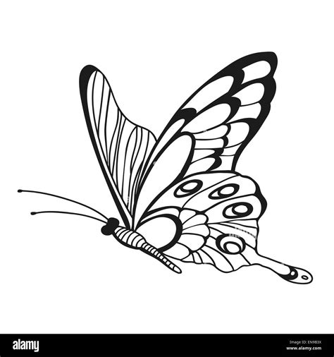 Beautiful monochrome butterfly. Sketch of insect for design and scrapbooking Stock Photo - Alamy