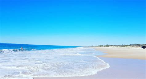 Part 2: Freddy the Kangaroo, Neil the Seal and Bribie Island Wildlife