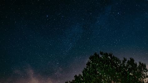 1366x768 starry sky, tree, night 1366x768 Resolution Wallpaper, HD Nature 4K Wallpapers, Images ...