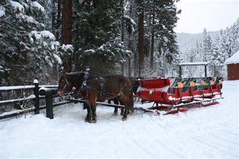 Sleigh rides, Leavenworth, WA | Leavenworth, Sleigh ride, Washington state