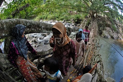 Objek Wisata Jembatan Akar | ANTARA Foto